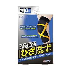 FC t@~[PA ЂK[hT|[^[ MTCY \yPTz