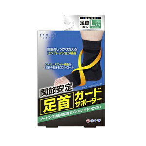 FC t@~[PA K[h T|[^[ LTCY \yPTz