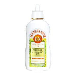 wAANZ[^[EX VgXXJbV̍ 150ml Tf{܁yPTz