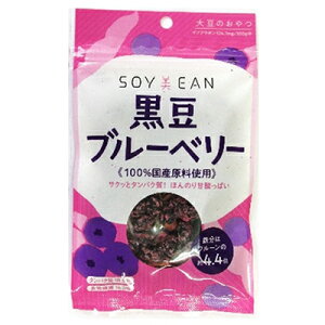 SOYEAN u[x[ 40g {{MفyRHz