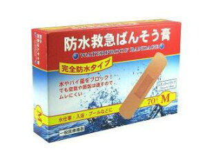 h~}΂񂻂p Sh^CvMTCY 70yRHz