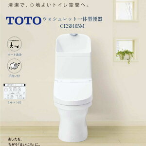 �y���������z �y���Ԍ��艿�i�z TOTO �E�H�V�����b�g��̌` �����f���^�C�vZR1 CES9165M �l�C�V���[�Y ��� ����L ���r��305-540mm �����R���t�� �z���C�g�F �I�[�g�֊���