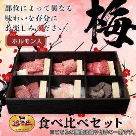 近江牛食べ比べセット【梅】ホルモン入 各100g×6 お中元 お歳暮 暑中お見舞 残暑お見舞 敬老の日 内祝