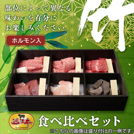 近江牛食べ比べセット【竹】ホルモン入 各100g×6 お中元 お歳暮 暑中お見舞 残暑お見舞 敬老の日 内祝