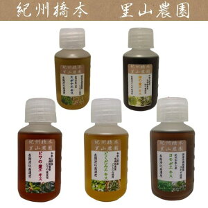 L@͔| IBY GLX S 5{ Zbg ǂ   т̗t `̗t 100ml 201 a̎RY _ 100% I[KjbN Y zCgJ[  zCgJ[ IB{R_