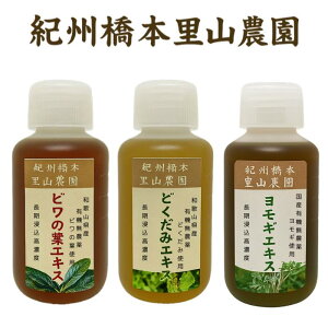 IB{R_ ǂ݃GLX 100ml ϐ 1L a̎RY _ If L@͔| 100% I[KjbN Y zCgJ[  ǂ݃`L \  悯 쑐 Lv 