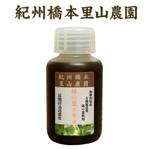 yIBY`̗tGLX100mL:301za̎RYE_L@͔|`̗t100% I[KjbN JL Y Y VR
