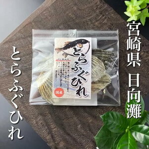 Ƃӂ ӂq {p ӂЂ [JY zn Y ɏ  Ђ 10g 9 {茧Y ӂ  gtO M ӂh Ă Ă荂 Ɩp 