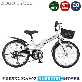 20インチ 身長115〜130cm 子供用自転車 ブラック マトリックス 