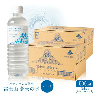 xmRV̐ 500ml × 24{2P[XZbg48{yzxmR@~lEH[^[@VJ@@LZs