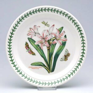 |[gI@{^jbNK[f@v[g20cm@A}X Belladonna Lily@mH@CMX@{^jbN