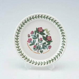 |[gI@{^jbNK[f@v[g13cm RhododendroniVNiQjBG03704@mH@CMX@{^jbN