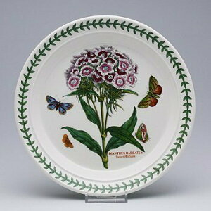 |[gI@{^jbNK[f@v[g20cm Sweet WilliamiifVRjBG05072@mH@CMX@{^jbN