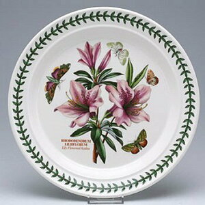 |[gI@{^jbNK[f@v[g25cm Lily Flowered Azaleai[jBG05052@mH@CMX@{^jbN