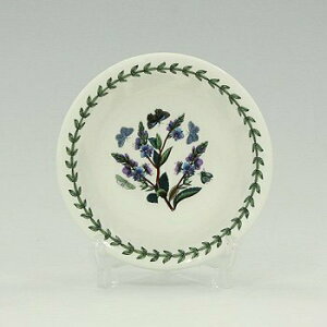 |[gI@{^jbNK[f@~j{[13cm Speedwell(NK^\E)BG45300@mH@CMX@{^jbN