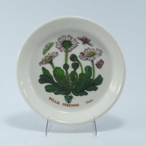 |[gI@{^jbNK[f@XEB[gfBbV10cm DaisyifCW[jBGHG48940daisy@mH@CMX@{^jbN