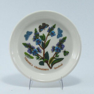 |[gI@{^jbNK[f@XEB[gfBbV10cm Speedwell(NK^\E)BGHM48940speedwell@mH@CMX@{^jbN
