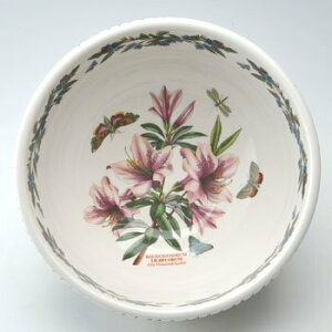 |[gI@{^jbNK[f@T_{[28cm Lily Flowered Azaleai[j@BG45000@mH@CMX@{^jbN