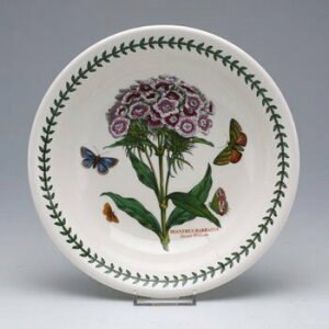 |[gI@{^jbNK[f@pX^{[20cm Sweet WilliamiifVRjBG45740@mH@CMX@{^jbN