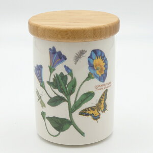 |[gI@{^jbNK[f@XpCXW[14cm ConvolvulusiTVLqKIjBGHH48130@mH@CMX@{^jbN