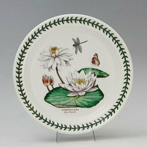 |[gI@GL]`bN{^jbNK[f@v[g20cmEG05072ywhite water lily@XCz@mH@CMX@{^jbN