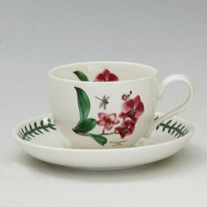 |[gI@GL]`bN{^jbNK[f@eB[Jbv\[T[EG04107ymoth orchid@t@mvVXz@mH@CMX@{^jbN