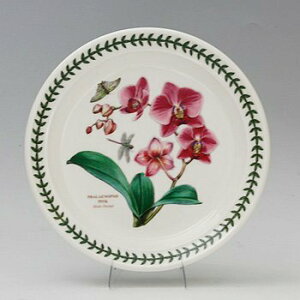 |[gI@GL]`bN{^jbNK[f@v[g20cmEG05072ymoth orchid@t@mvVXz@mH@CMX@{^jbN