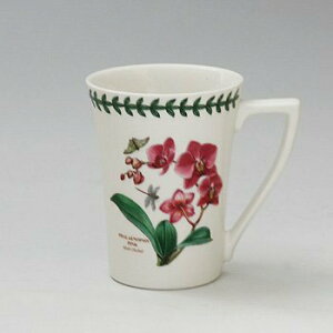 |[gI@GL]`bN{^jbNK[f@}OEG48811ymoth orchid@t@mvVXz@mH@CMX@{^jbN