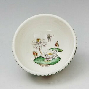 |[gI@GL]`bN{^jbNK[f@T_{[14cmEG05500ywhite water lily@XCz@mH@CMX@{^jbN