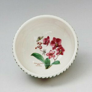 |[gI@GL]`bN{^jbNK[f@T_{[14cmEG05500ymoth orchid@t@mvVXz@mH@CMX@{^jbN