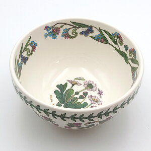 |[gI {^jbNK[f X^bLO{[18cm DaisyifCW[j BGHG78806@mH@CMX@{^jbN