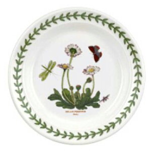 |[gI {^jbNK[f v[g16.5cm DaisyifCW[jBGHG05082daisy@mH@CMX@{^jbN