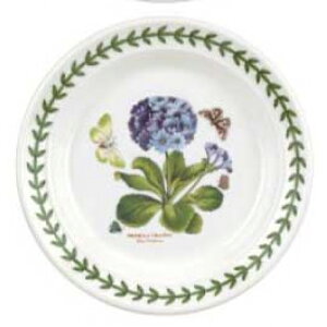 |[gI {^jbNK[f v[g16.5cm PrimulaiTN\EjBGHK05082primula@mH@CMX@{^jbN