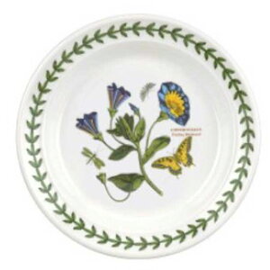 |[gI {^jbNK[f v[g16.5cm ConvolvulusiTVLqKIjBGHH05082convolvulus@mH@CMX@{^jbN