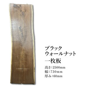ꖇubNEH[ibg C f 2.5m 73cm 6cm pre[uV JE^[ fXN  2099-4r