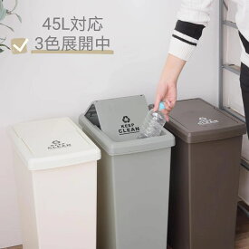 ゴミ箱 45リットル 45L 日本製 ダストボックス ダストビン 分別 屋外 スリム ふた付き フタ 北欧 ワンハンドペール インテリア 蓋つき シンプル リビング 縦型 連結 ゴミ袋 寝室 キッチン リビング 一人暮らし 外置き