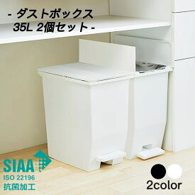 ゴミ箱 35L 2個セット 日本製 ペダル ダストビン ダストボックス ごみ箱 スリム ふた付き 足踏み ペダル式 おしゃれ 臭わない 密閉 生ゴミ キッチン カップボード下 棚下 カウンター下 リビング 送料無料
