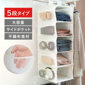 吊り下げ収納袋 小物収納 吊り下げ式衣類収納 吊り下げラック 5段 無地 衣類 幅22×奥行30×高さ80cm 衣装ケース 省スペース 一人暮らし 折りたたみ 省スペース 衣類ラック 下着 スリム キッチン 大容量 不織布 メッシュ ポケット R.A.N