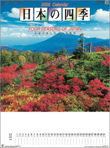 Ǌ|J_[@10y30z{̎lGyOʗLz y J_[ J_[  Ж c̖@bgz {i