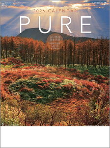 Ǌ|J_[@10y30zPURE-SɎc{i- y J_[ J_[  Ж c̖@bgz