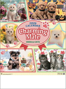 Ǌ|J_[@10y30z`[~OCg L  y J_[ J_[  Ж c̖@bgz