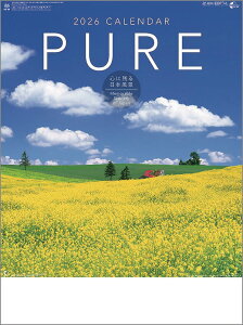 Ǌ|J_[@10y30zPURE-SɎc{i- XєF y J_[ J_[  Ж c̖@bgz