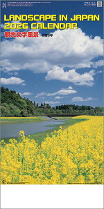 Ǌ|J_[@10y30zόi () y J_[ J_[  Ж c̖@bgz