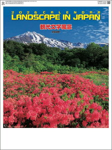 Ǌ|J_[@10y30zόi y J_[ J_[  Ж c̖@bgz