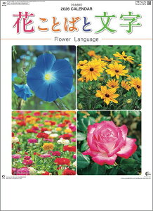 Ǌ|J_[@10y30zԂƂ΂ƕ XєF y J_[ J_[  Ж c̖@bgz ԁEA