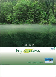 Ǌ|J_[@10y30ztH[Go[Wp XєF y J_[ J_[  Ж c̖@bgz {i