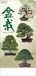 Ǌ|J_[@10y30z~́y J_[ J_[  Ж c̖@bgz ԁEA