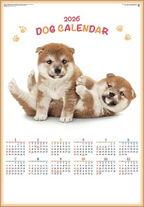 Ǌ|J_[@y 50zN\ ybgE y J_[ J_[  Ж c̖@bgz