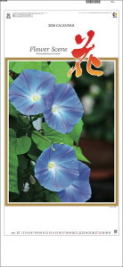 Ǌ|J_[@10y30zԁy J_[ J_[  Ж c̖@bgzG