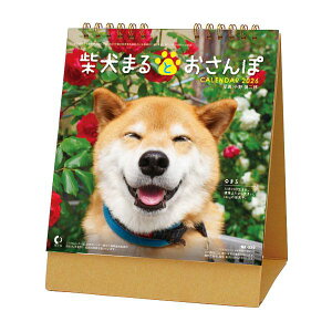 J_[@10y30zČ܂Ƃہy J_[ J_[  Ж c̖@bgz